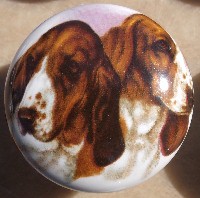 cabinet knob basset hounds