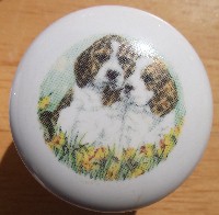 cabinet knob beagle