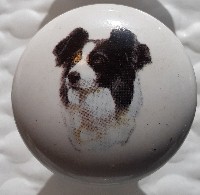 cabinet knob border collie