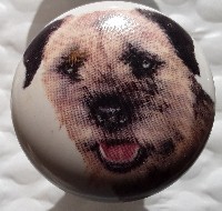 cabinet knob border terrier