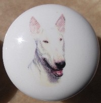 cabinet knob american bull terrier