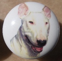 cabinet knob american bull terrier