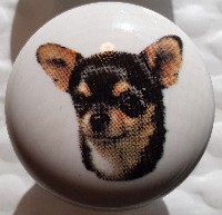 cabinet knob chihuahua black