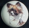 cabinet knob chihuahua long hair