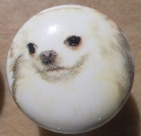 cabinet knob chihuahua white