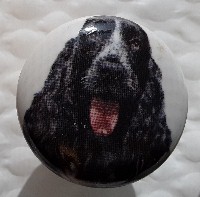 cabinet knob cocker spaniel black