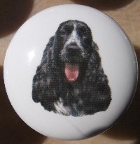 cabinet knob cocker spaniel black