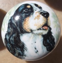 cabinet knob cocker spaniel