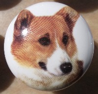 cabinet knob pembrook corgi