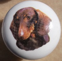 cabinet knob dachshunds red