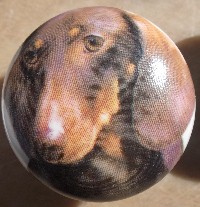 cabinet knob dachshunds red