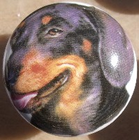 cabinet knob dachshunds black