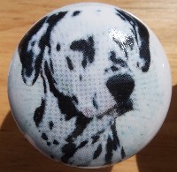 cabinet knob dalmation