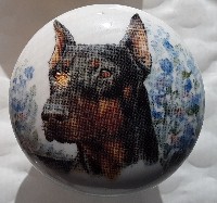 cabinet knob doberman pincer