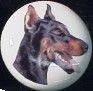 cabinet knob doberman pincer