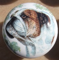 cabinet knob english bulldog monica heller kole