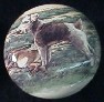 cabinet knob fox terrier