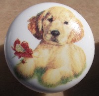 cabinet knob golden retriever puppy