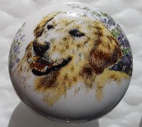 cabinet knob golden retriever