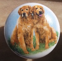 cabinet knob golden retriever