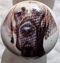 ceramic cabinet knob great dane