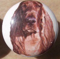 ceramic cabinet knob irish setter