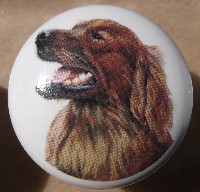 ceramic cabinet knob irish setter