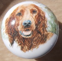 ceramic cabinet knob irish setter