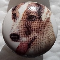 ceramic cabinet knob jack russell terrier