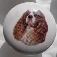 ceramic cabinet knob king charles spaniel