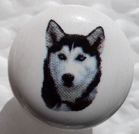 cabinet knob siberian husky