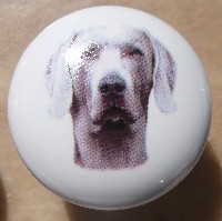 cabinet knob Weimaraner