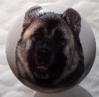 cabinet knob akita