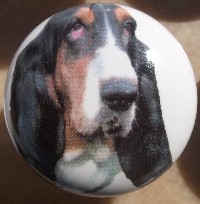 cabinet knob basset hounds