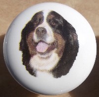 cabinet knob bernese mountain dog