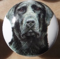 ceramic cabinet knob black labrador retiever