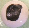 ceramic cabinet knob pug black