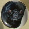 ceramic cabinet knob pug black