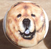 cabinet knob chow chow