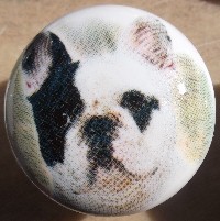 cabinet knob French Bulldog