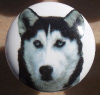 ceramic cabinet knob siberian husky