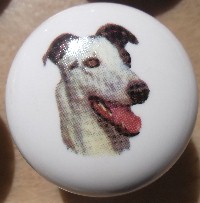 ceramic cabinet knob italian greyhound grayhound