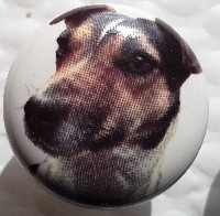 ceramic cabinet knob jack russell terrier