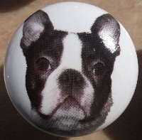 cabinet knob boston terrier