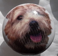 ceramic cabinet knob norfolk terrier