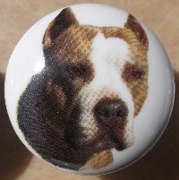 ceramic cabinet knob pitbull