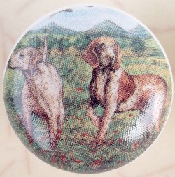 ceramic cabinet knob german shorthair pointer