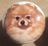 www.mariansceramics.com Pomeranian pappilon  cabinet knobs