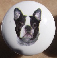 cabinet knob boston terrier