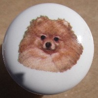 ceramic cabinet knob pomeranian